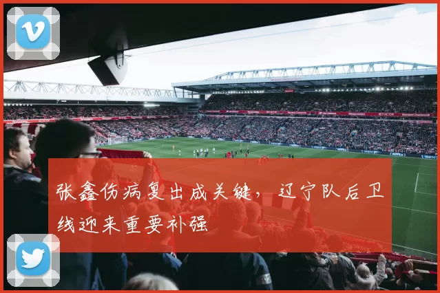 张鑫伤病复出成关键，辽宁队后卫线迎来重要补强