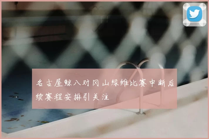 名古屋鲸八对冈山绿雉比赛中断后续赛程安排引关注