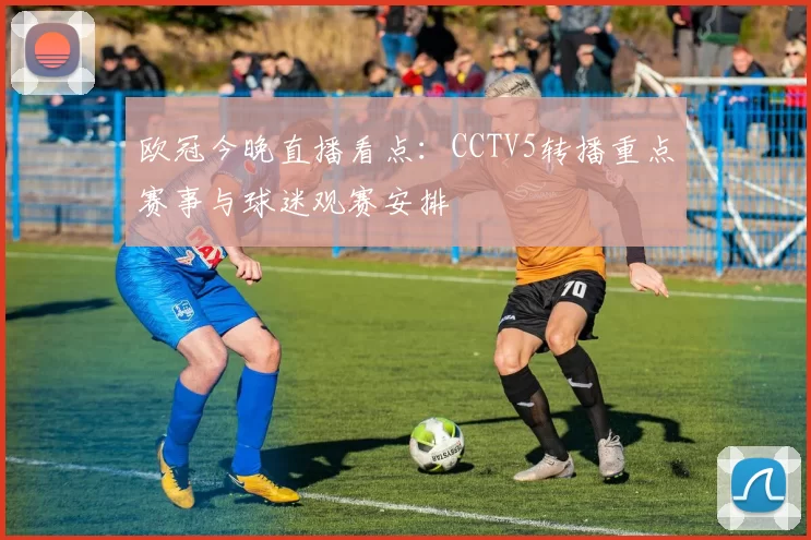 欧冠今晚直播看点:CCTV5转播重点赛事与球迷观赛安排