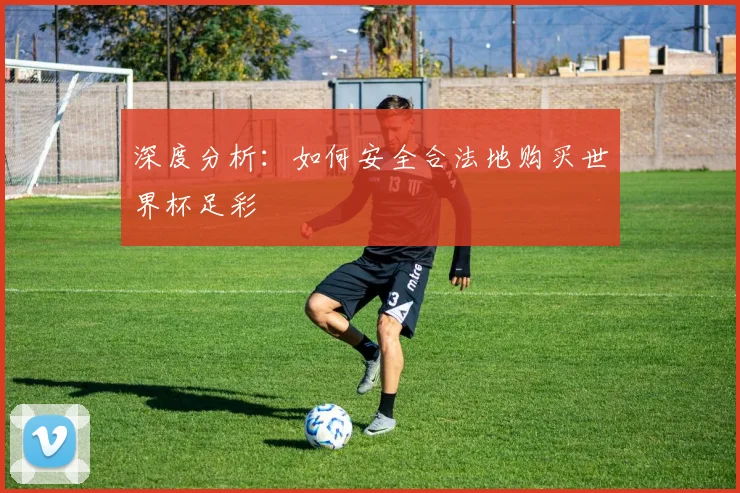深度分析：如何安全合法地购买世界杯足彩