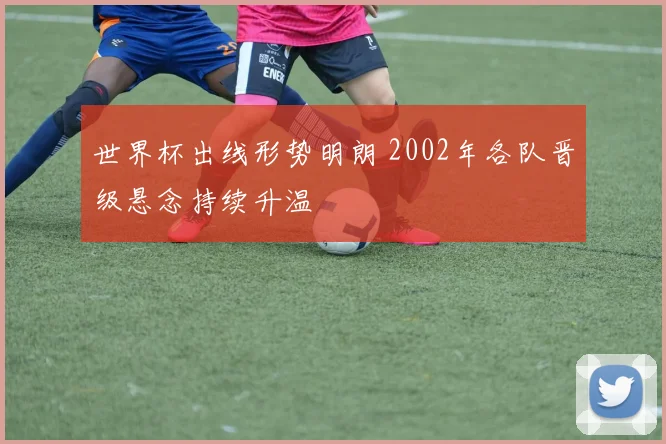 世界杯出线形势明朗 2002年各队晋级悬念持续升温