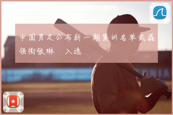 中国男足公布新一期集训名单武磊领衔张琳芃入选