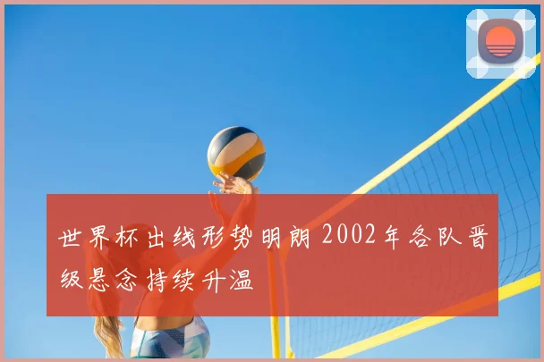 世界杯出线形势明朗 2002年各队晋级悬念持续升温