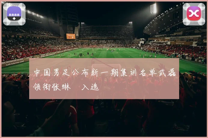 中国男足公布新一期集训名单武磊领衔张琳芃入选