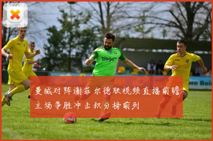 曼城对阵谢菲尔德联视频直播前瞻主场争胜冲击积分榜前列