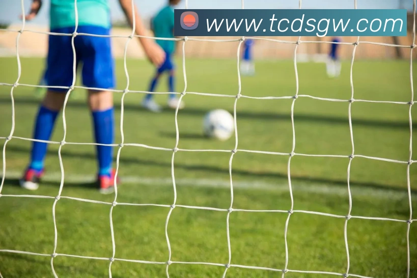体育直播服务
